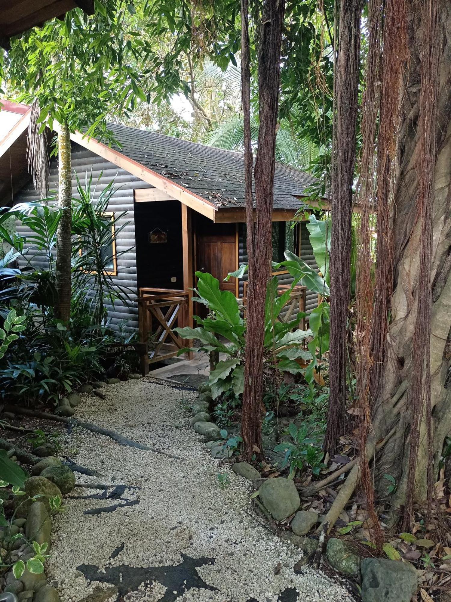 Casa El Colibri Bed & Breakfast Parrita Exterior photo